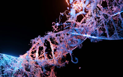 Ultra-sensitive CRISPR test detects pathogens in minutes—No lab needed